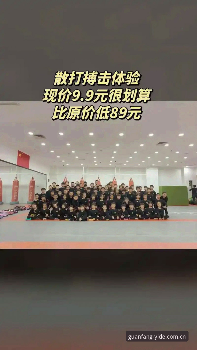 亿德体育平台界面简洁评测与使用教程